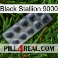 Black Stallion 9000 30